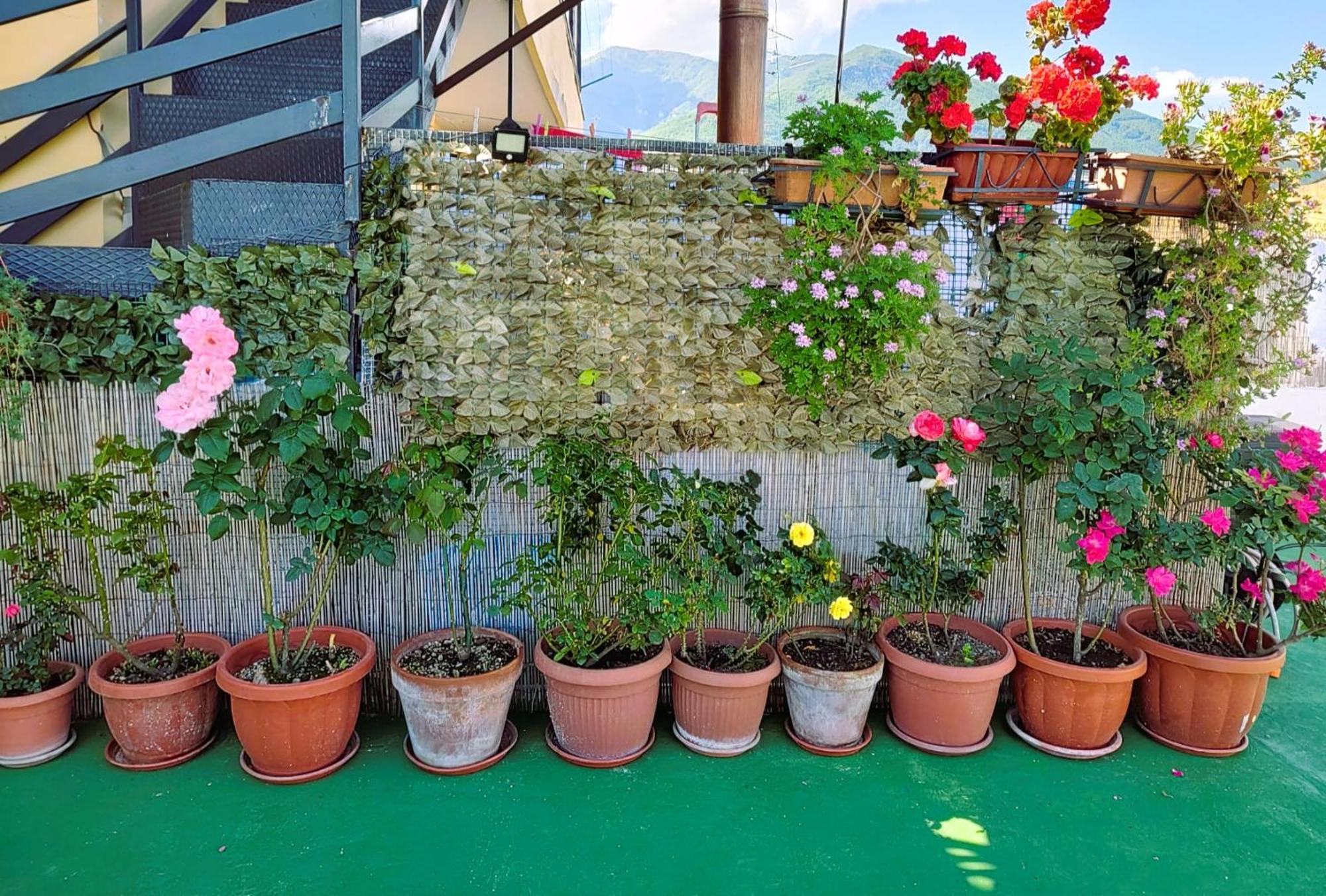Palazzo Di Donna Panoramic Terraces And Private Parking Strategic To Amalfi Coast, Pompei, Napoli Villa Sant'Egidio del Monte Albino Ngoại thất bức ảnh